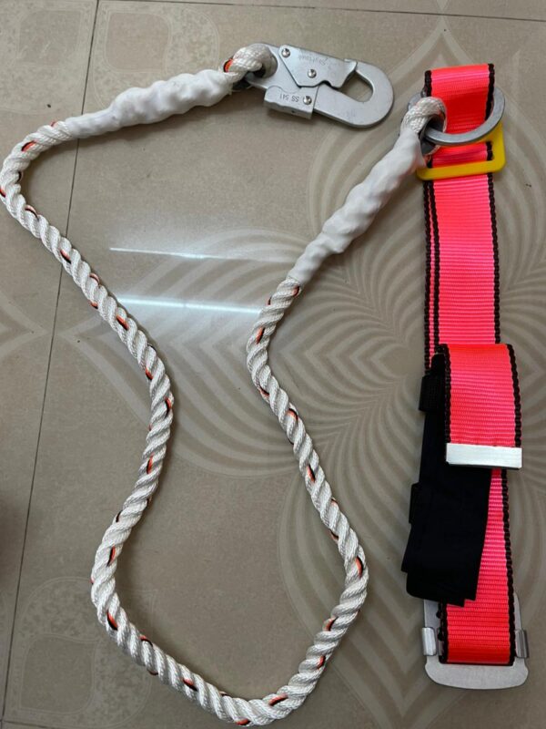 Restraint Safety Belt