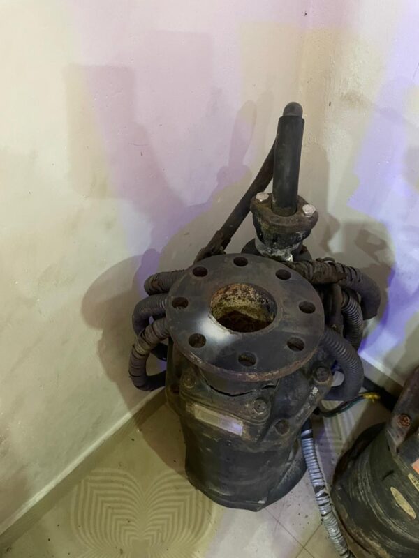 Submersible Sewage Pump (SHIN SHIN)