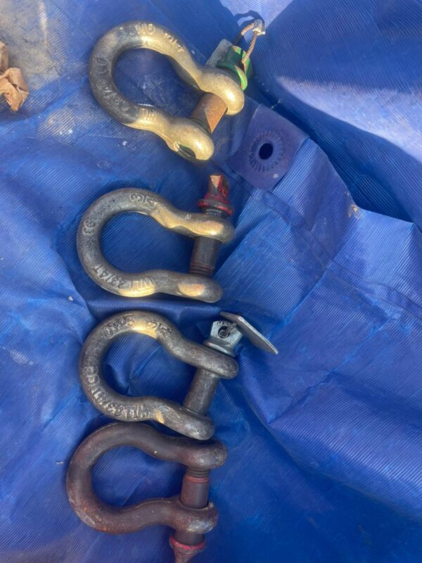 Bow/Anchor Shackle